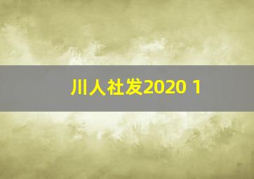 川人社发2020 1